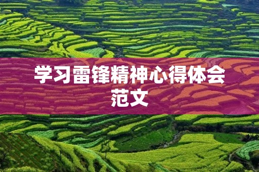 学习雷锋精神心得体会范文