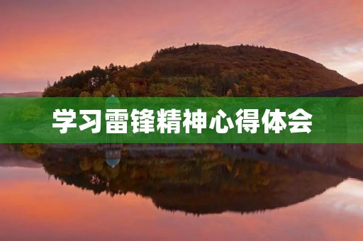 学习雷锋精神心得体会 学习雷锋精神心得体会