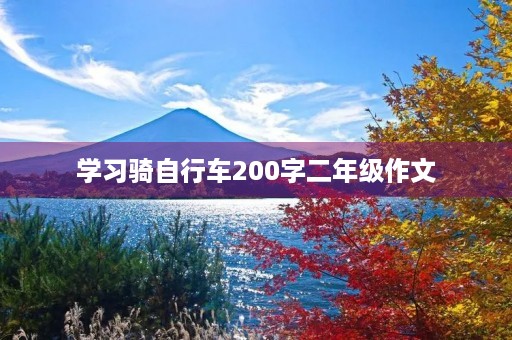 学习骑自行车200字二年级作文