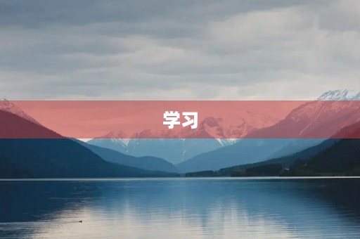 学习