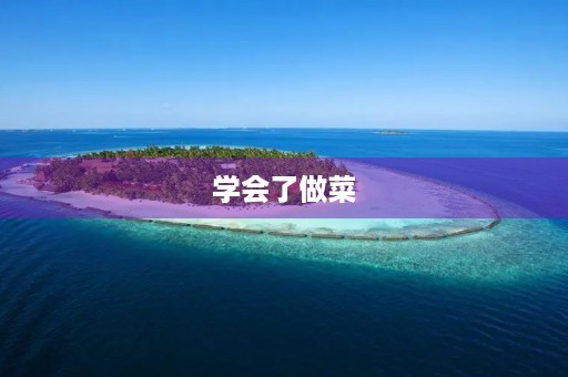学会了做菜 学会了做菜