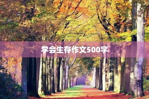 学会生存作文500字