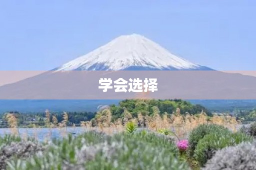 学会选择