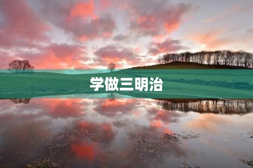 学做三明治