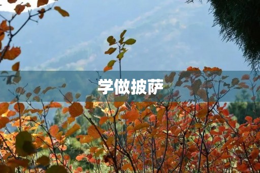学做披萨 学做披萨