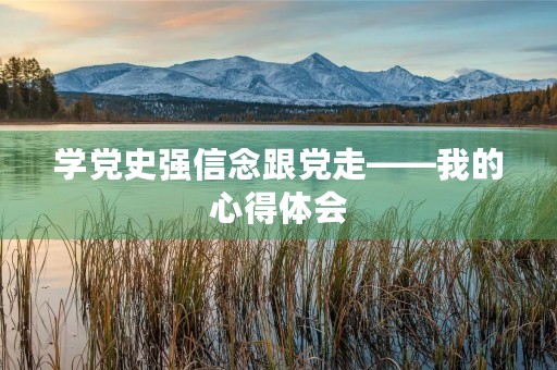 学党史强信念跟党走——我的心得体会 学党史强信念跟党走——我的心得体会