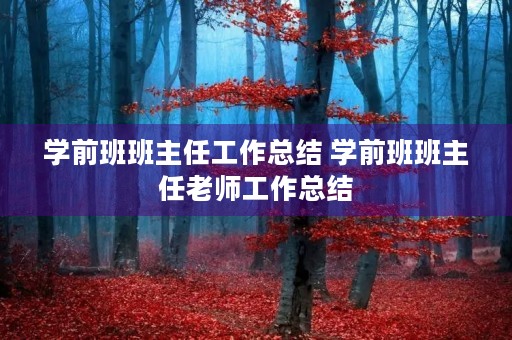 学前班班主任工作总结 学前班班主任老师工作总结