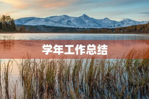 学年工作总结 学年工作总结