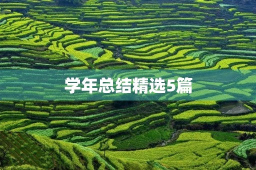 学年总结精选5篇