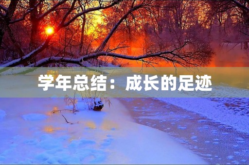 学年总结：成长的足迹