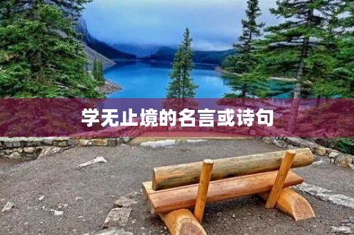 学无止境的名言或诗句(学无止境的名人名言和诗句) 学无止境的名言或诗句(学无止境的名人名言和诗句)