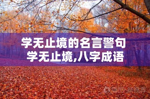学无止境的名言警句 学无止境,八字成语