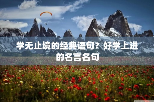 学无止境的经典语句？好学上进的名言名句