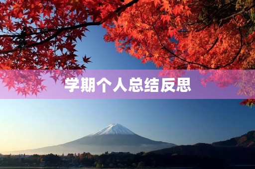 学期个人总结反思