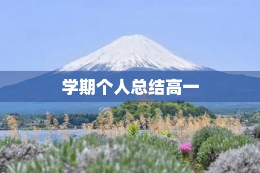 学期个人总结高一