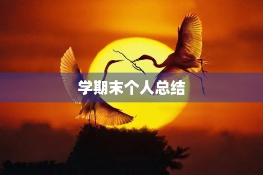 学期末个人总结