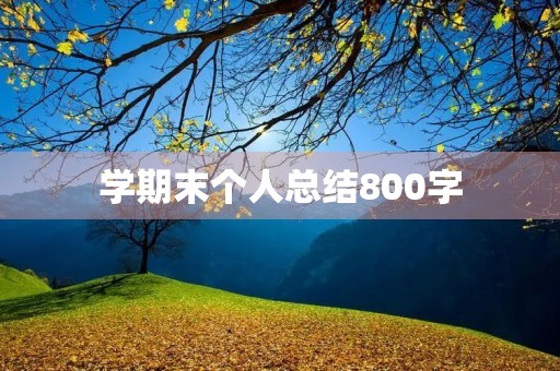 学期末个人总结800字