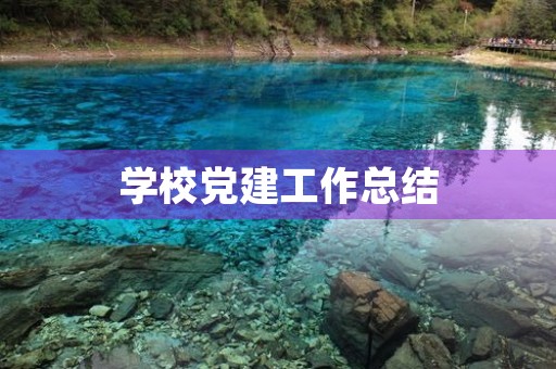 学校党建工作总结(【学校党建工作述职报告【三篇】】中心学校党建工作述职报告)