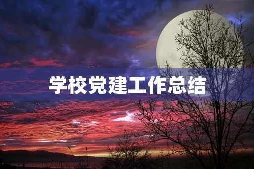 学校党建工作总结