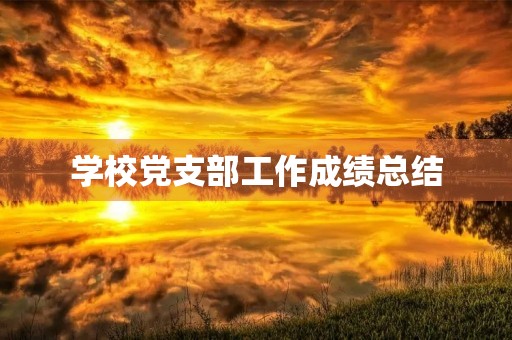 学校党支部工作成绩总结