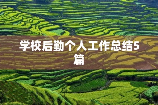 学校后勤个人工作总结5篇