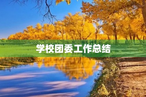 学校团委工作总结 学校团委工作总结