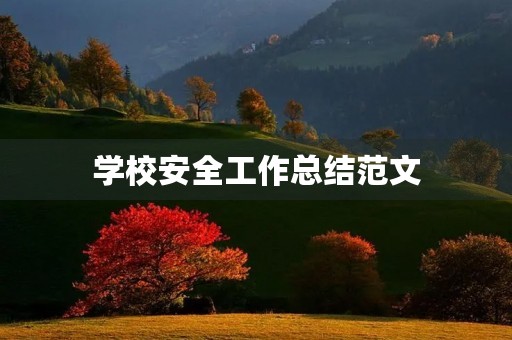 学校安全工作总结范文