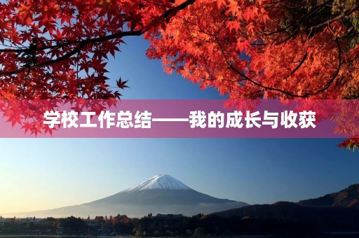 学校工作总结——我的成长与收获