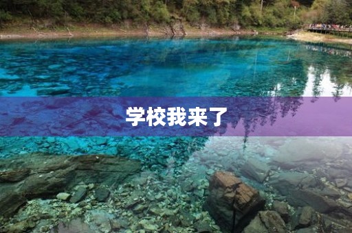 学校我来了，初三作文：
