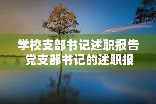 学校支部书记述职报告 党支部书记的述职报告怎样写