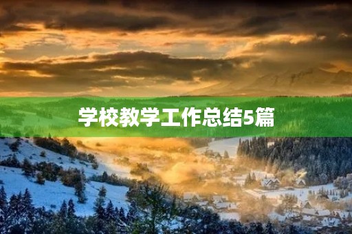 学校教学工作总结5篇