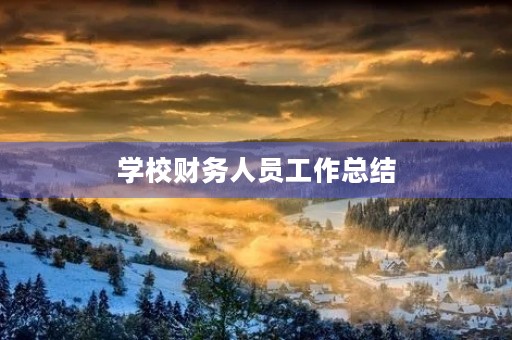 学校财务人员工作总结