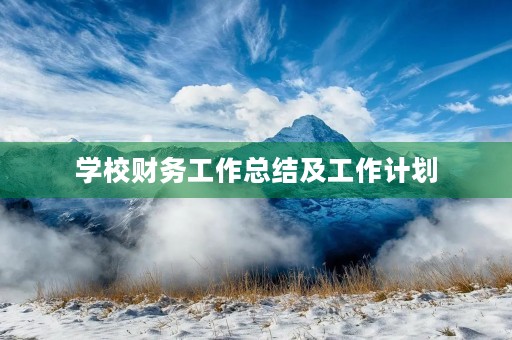 学校财务工作总结及工作计划