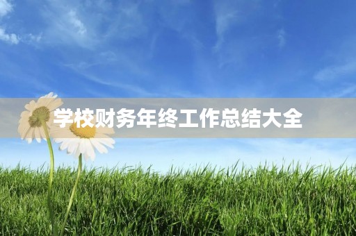 学校财务年终工作总结大全