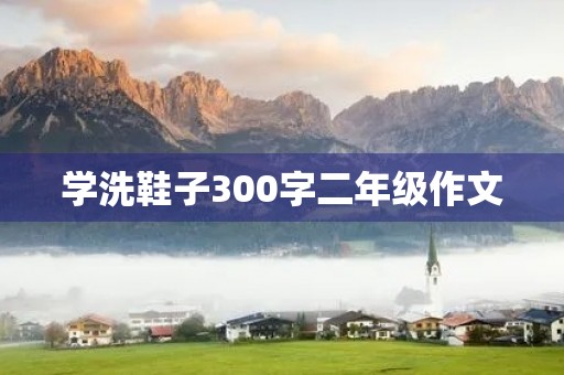 学洗鞋子300字二年级作文