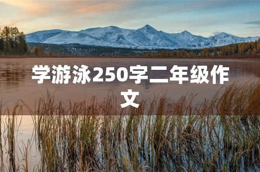 学游泳250字二年级作文