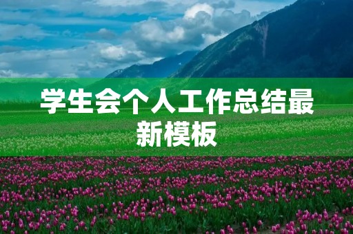 学生会个人工作总结最新模板