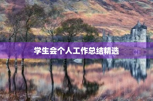 学生会个人工作总结精选