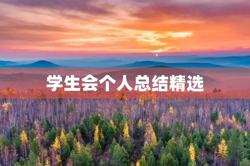 学生会个人总结精选