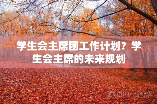 学生会主席团工作计划？学生会主席的未来规划