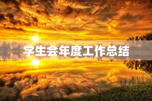 学生会年度工作总结