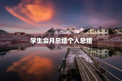 学生会月总结个人总结