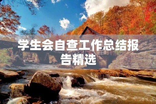 学生会自查工作总结报告精选