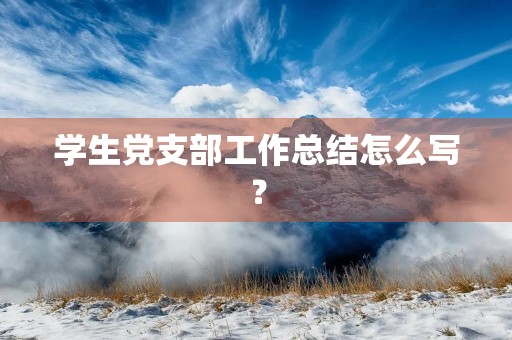 学生党支部工作总结怎么写?