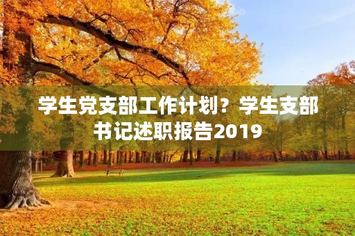 学生党支部工作计划?学生支部书记述职报告2019 学生党支部工作计划?学生支部书记述职报告2019