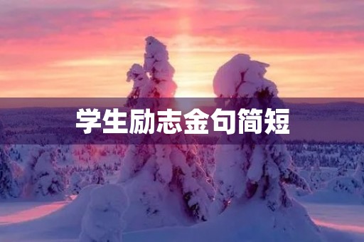 学生励志金句简短(八个字激励短句)