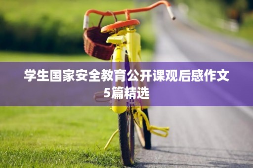学生国家安全教育公开课观后感作文5篇精选