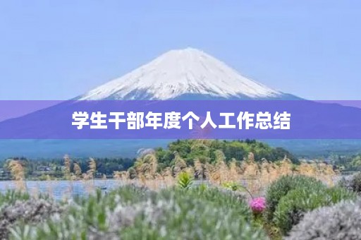 学生干部年度个人工作总结