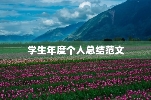 学生年度个人总结范文