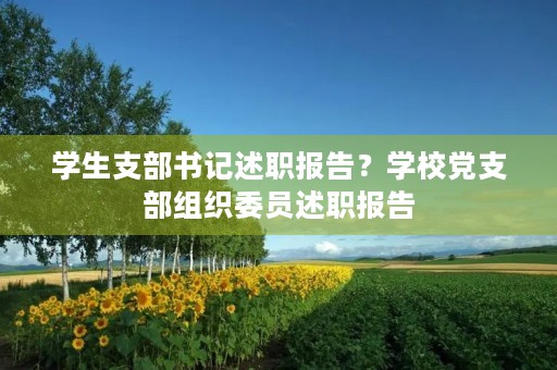 学生支部书记述职报告？学校党支部组织委员述职报告